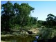109 Goodwins Lookout Road, Cowra NSW 2794