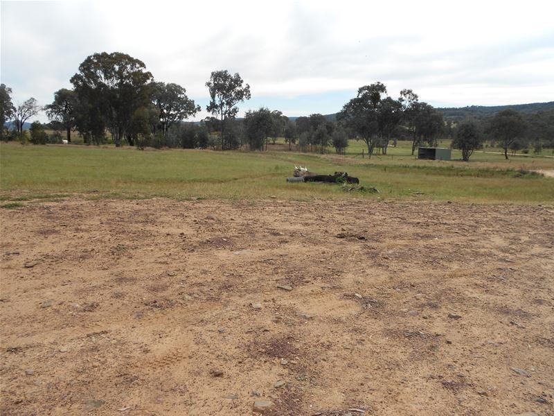 384A Fragar Road, Cowra NSW 2794