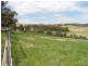 1580 Reg Hailstone Way, Woodstock NSW 2538