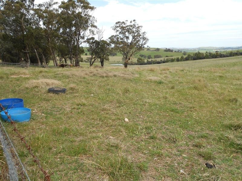 1580 Reg Hailstone Way, Woodstock NSW 2538