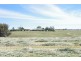 53 Badgery Road, Cowra NSW 2794