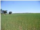 53 Badgery Road, Cowra NSW 2794