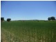 53 Badgery Road, Cowra NSW 2794