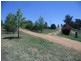 53 Badgery Road, Cowra NSW 2794