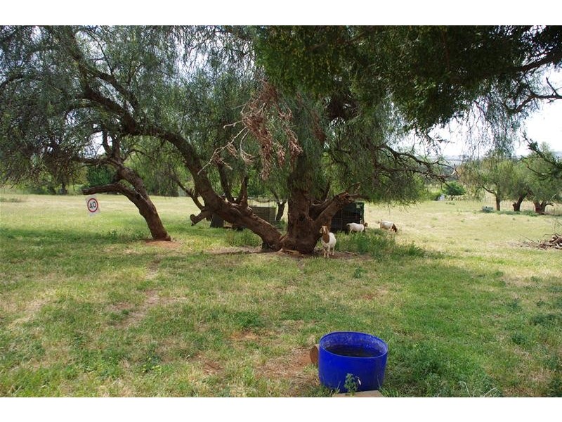 351 Porters Mount Road, Cowra NSW 2794