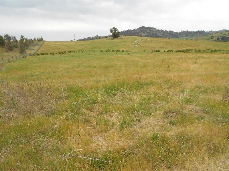 2623-2625 Darbys Falls Road, Wyangala NSW 2808