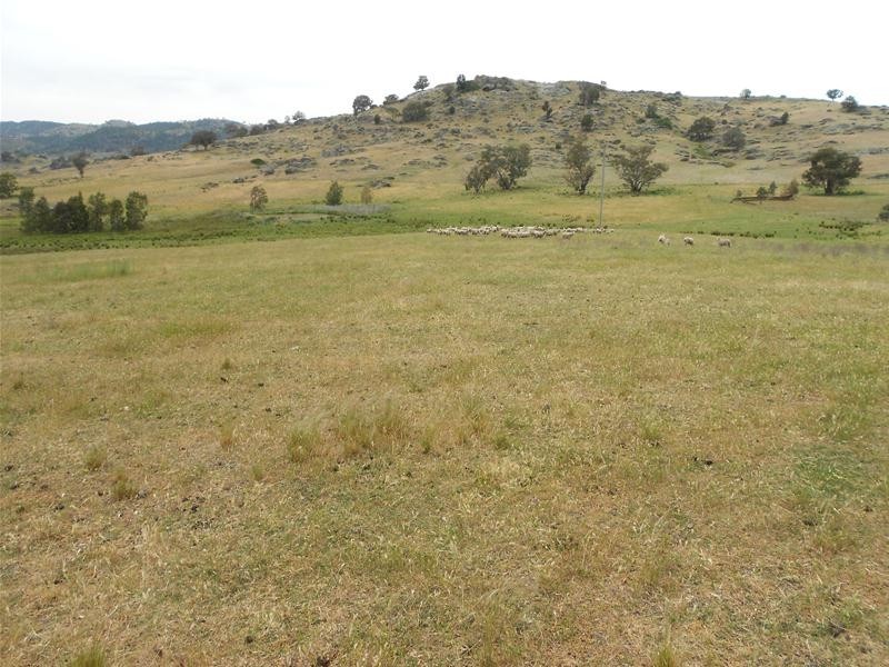 2623-2625 Darbys Falls Road, Wyangala NSW 2808