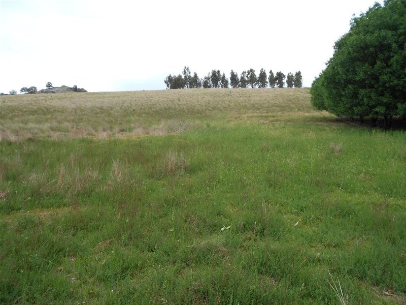 2623-2625 Darbys Falls Road, Wyangala NSW 2808