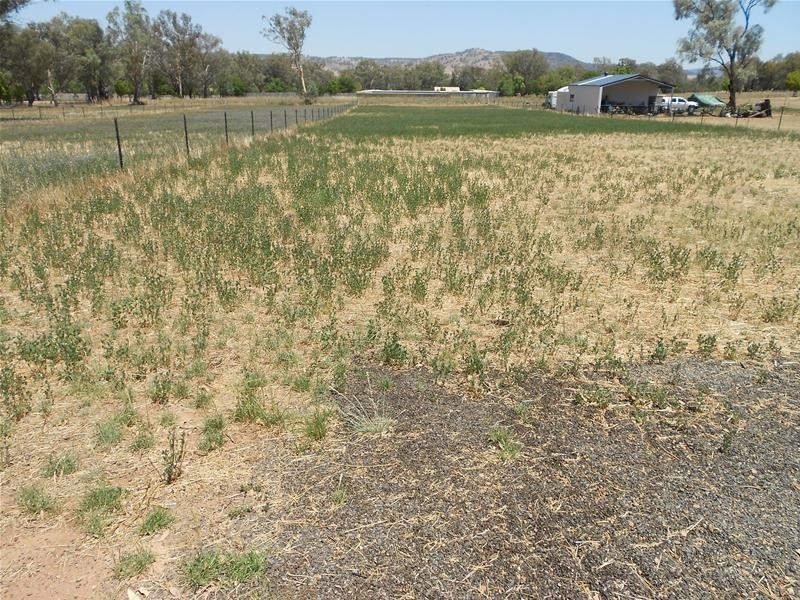 Part/25-27 Neila (Lot 5 West St) Street, Wattamondara NSW 2794