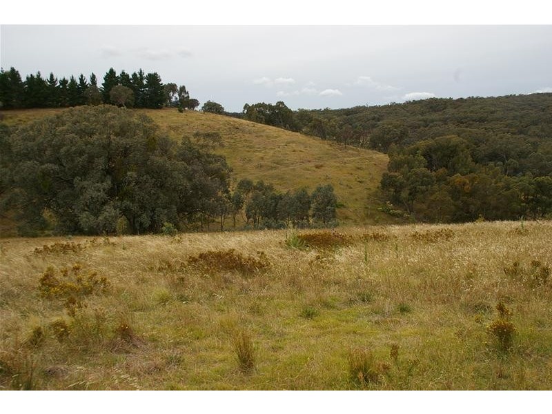 155 Blue Mantle Road, Wyangala NSW 2808