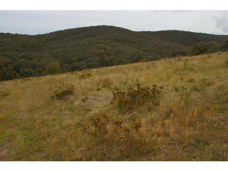 155 Blue Mantle Road, Wyangala NSW 2808