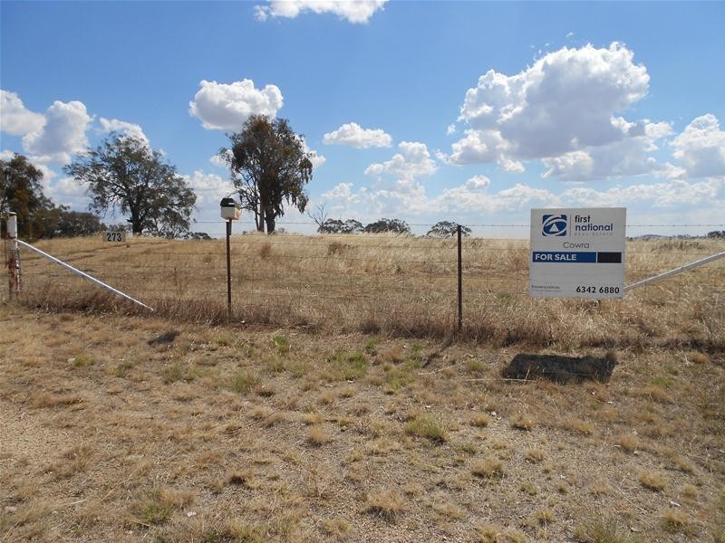 273 Horton Drive, Woodstock NSW 2538