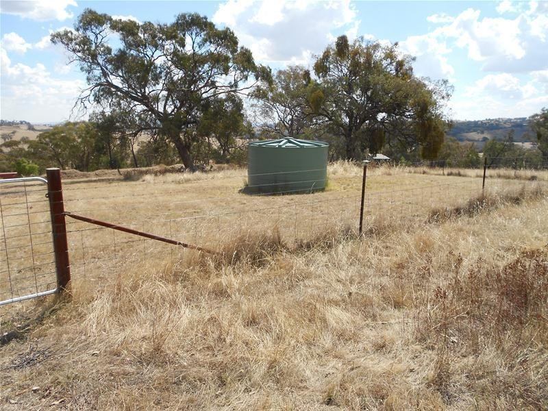 273 Horton Drive, Woodstock NSW 2538