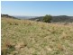 Gee Lane, Cowra NSW 2794