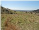 Gee Lane, Cowra NSW 2794