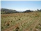 Gee Lane, Cowra NSW 2794
