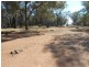 Gee Lane, Cowra NSW 2794