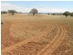 Gee Lane, Cowra NSW 2794