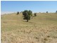 Gee Lane, Cowra NSW 2794