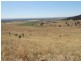 Gee Lane, Cowra NSW 2794