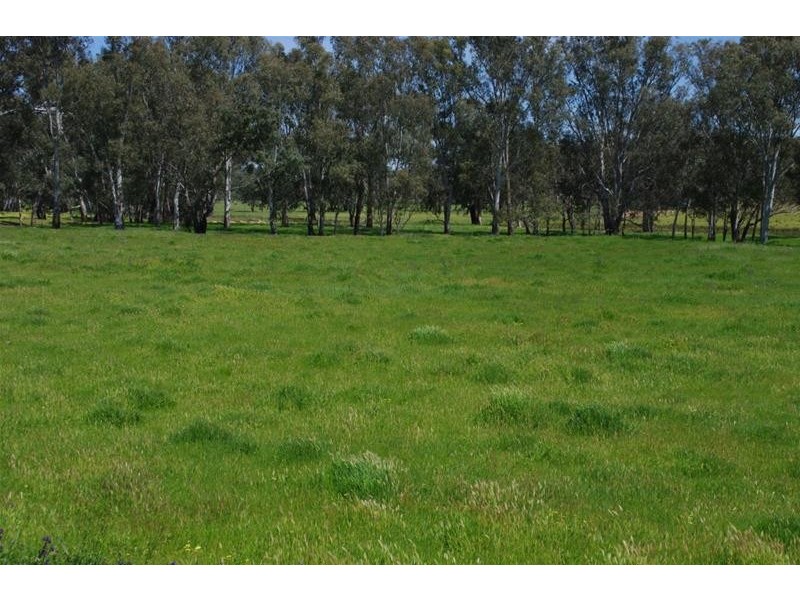 2365 Lachlan Valley Way, Cowra NSW 2794