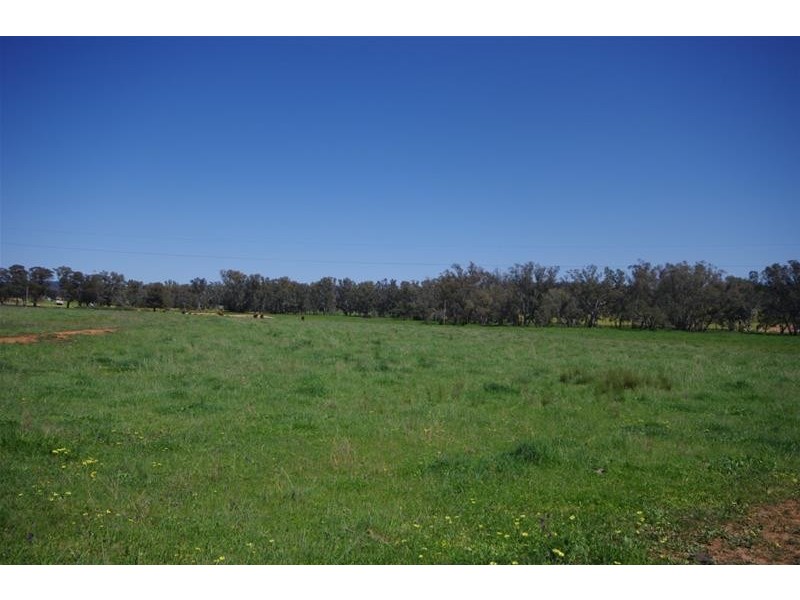 2365 Lachlan Valley Way, Cowra NSW 2794