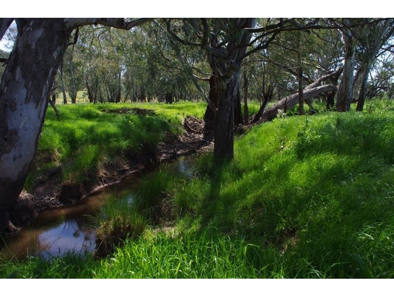 2365 Lachlan Valley Way, Cowra NSW 2794