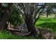 2365 Lachlan Valley Way, Cowra NSW 2794