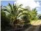 63 Taragala Street, Cowra NSW 2794