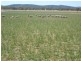 5111 Olympic Highway, Wattamondara NSW 2794