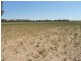 5111 Olympic Highway, Wattamondara NSW 2794