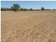 5111 Olympic Highway, Wattamondara NSW 2794