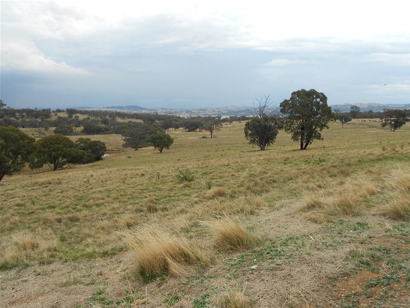 29 Horton Drive, Woodstock NSW 2538