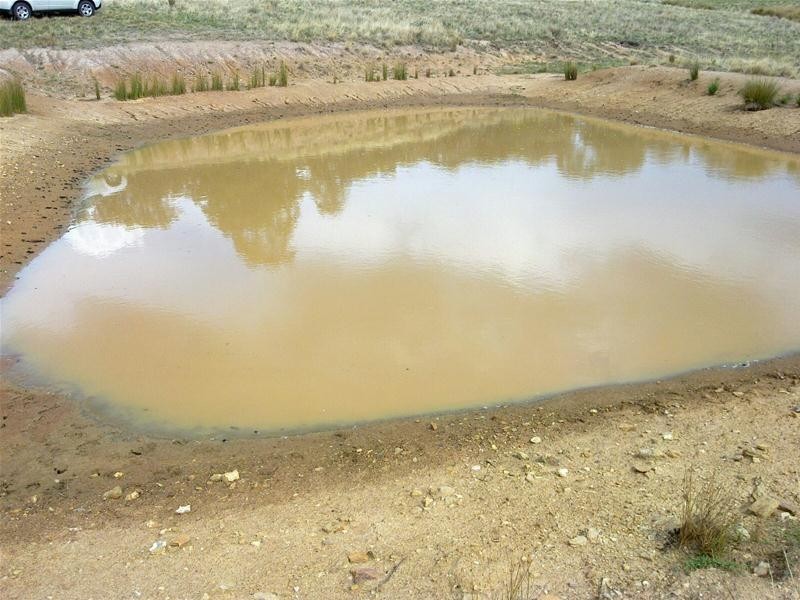 29 Horton Drive, Woodstock NSW 2538