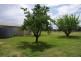 439 Porters Mount Road, Cowra NSW 2794