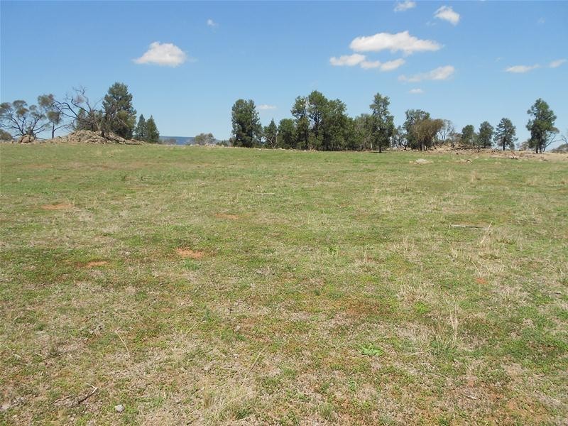 55 Gooloogong Road, Gooloogong NSW 2805