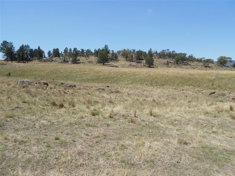 55 Gooloogong Road, Gooloogong NSW 2805