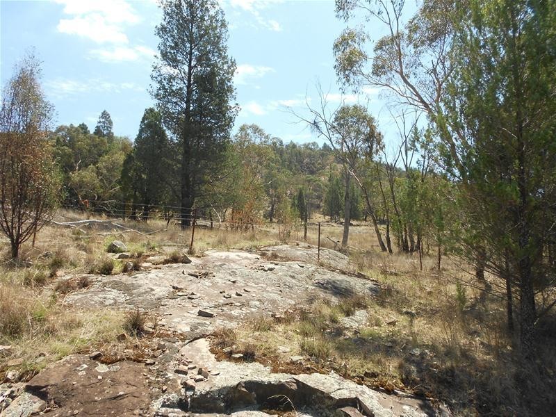 55 Gooloogong Road, Gooloogong NSW 2805