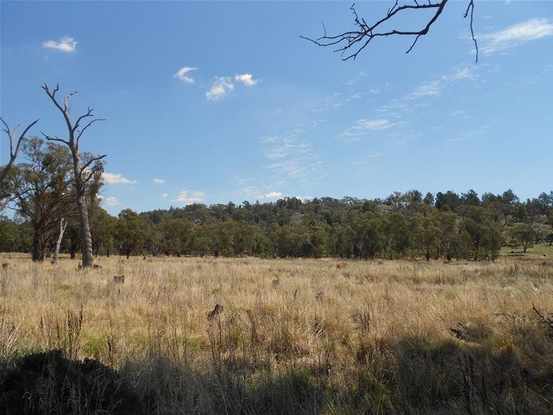 55 Gooloogong Road, Gooloogong NSW 2805