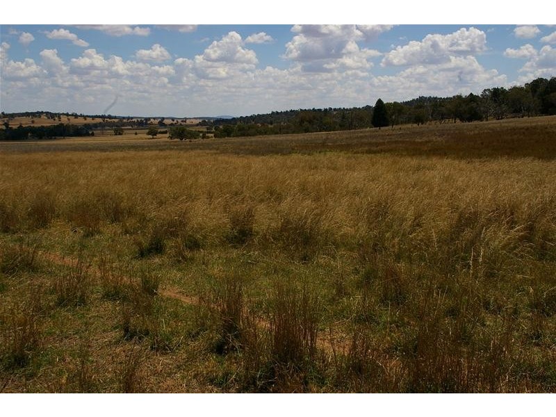 55 Gooloogong Road, Gooloogong NSW 2805