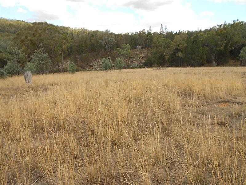 1642 Kangarooby Road, Gooloogong NSW 2805