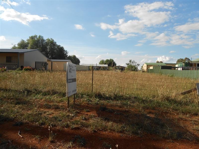 20 Bowen Street, Woodstock NSW 2793