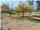 2232 Reg Hailstone Way, Cowra NSW 2794