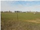 Lot 5, 5 Corner Floods Lane & Wicks Street, Canowindra NSW 2804
