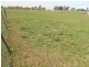 Lot 5, 5 Corner Floods Lane & Wicks Street, Canowindra NSW 2804