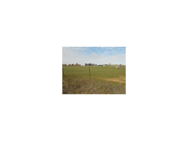 Lot 5, 5 Corner Floods Lane & Wicks Street, Canowindra NSW 2804