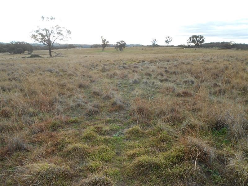 83 Horton Drive, Woodstock NSW 2793