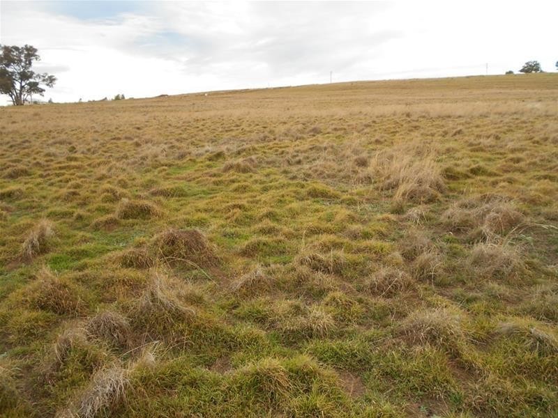 83 Horton Drive, Woodstock NSW 2793