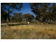 1005 Pine Mount Road, Woodstock NSW 2538