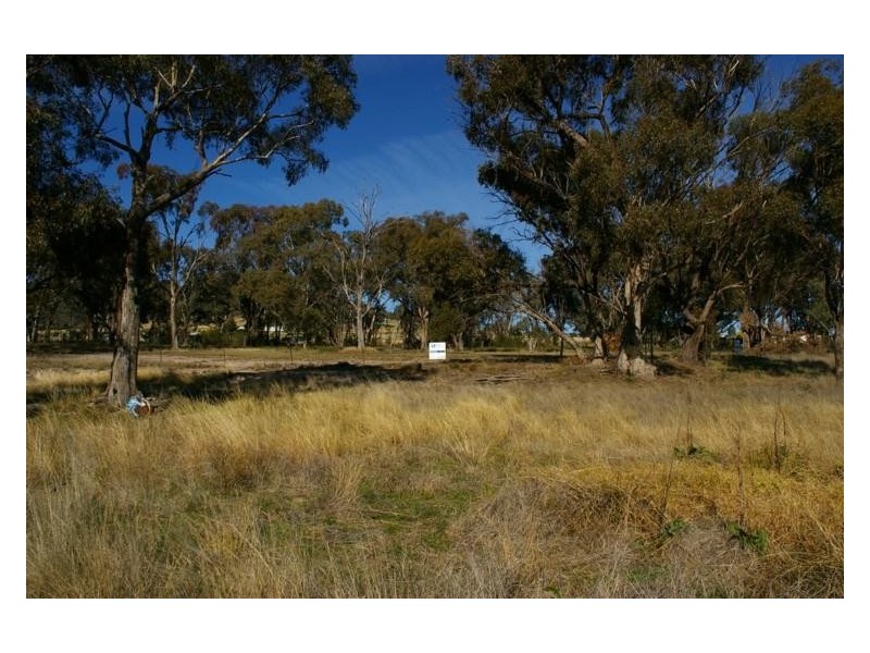 1005 Pine Mount Road, Woodstock NSW 2538